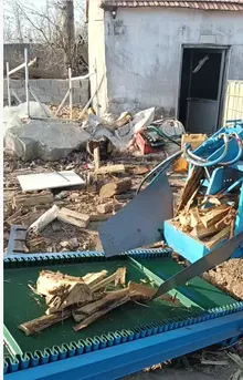 Firewood Processor (Cut & Split in One) — photo 2