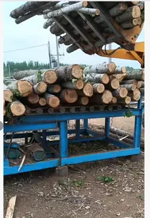 Log Deck Feeder / Log Infeed Conveyor — photo 5