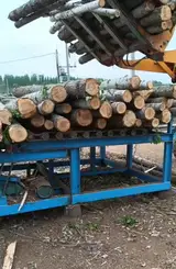 Log Deck Feeder / Log Infeed Conveyor — 5