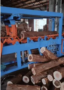 Automatic Log Cut-Off Saw (Adjustable Length) — photo 2