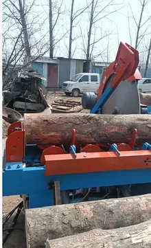 Automatic Log Cut-Off Saw (Fixed Length) — photo 2