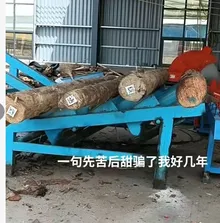 Log Deck Feeder / Log Infeed Conveyor — photo 4