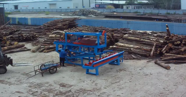 LW-CS1200A cut-off saw surrounded by log stacks in a Fujian timber yard