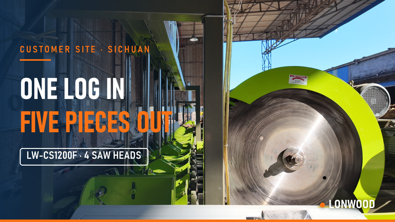 Four-Head Log Cut-Off Saw in Production — One Log In, Five Pieces Out